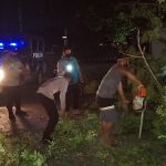 Pohon Tumbang, Pengendara Motor Terjatuh Menabrak Kabel Jaringan
