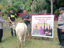 Idul Adha 1444 Hijriyah : Polsek Bunta Sembelih Satu Ekor Sapi Qurban