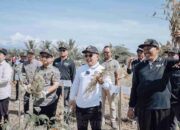 Banggai Daerah Pengembangan Kedelai Terbesar Se Indonesia Timur, Data Dinas TPHP Sulteng Rakor AKABI di Makkasar