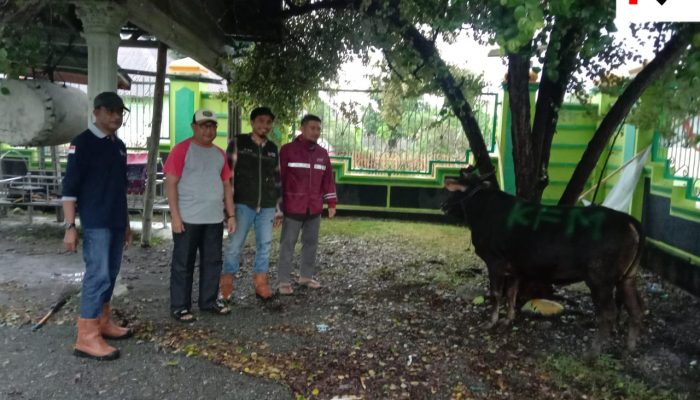 PT KFM Salurkan 11 Ekor Hewan Qurban Untuk Disembelih, Comdev Triwidy Kuncoro : Qurban Ini Jadi Agenda Tahunan Tiap Perayaan Idul Adha