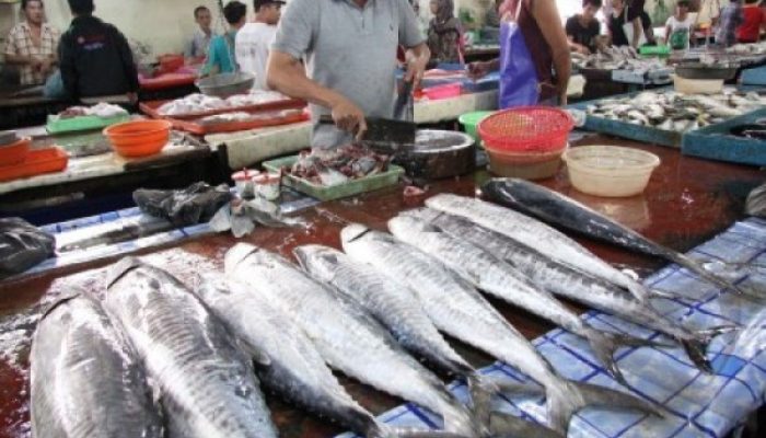 Penjual Ikan Pasar Bunta Keluhkan Bau Menyengat, Hingga Kontroversi Wacana Relokasi Pasar Ikan