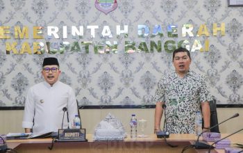 Sosialisasi