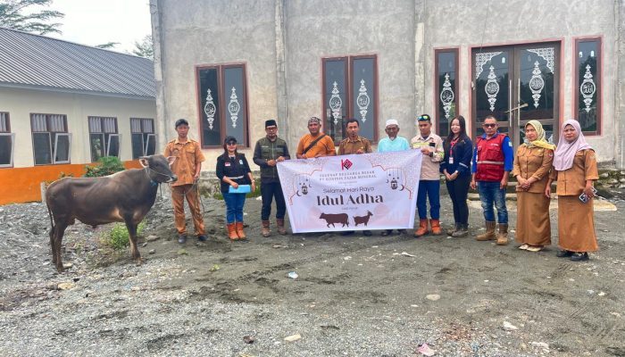 PT KFM Salurkan Sebelas Ekor Sapi Qurban Jelang Idul Adha 1446 Hijriyah