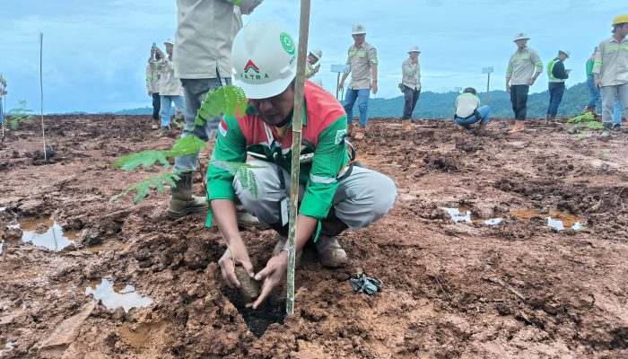 Maknai Hari Lingkungan Sedunia, KTT Muh Najmi Al Ramadhan : Sejak Beroperasi Tanamkan Konsep Good Minning Practice