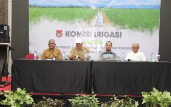 Sidang