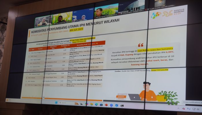 Sekjen Mendagri Sebut 10 Kabupaten IPH Tertinggi, Sekda Banggai Jaga Harga dan Bahan Pokok Tetap Stabil