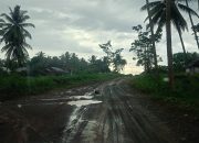 Kondisi Jalan Menuju Kantor Lurah Kalaka Kerap Jadi Kendala Pelayanan