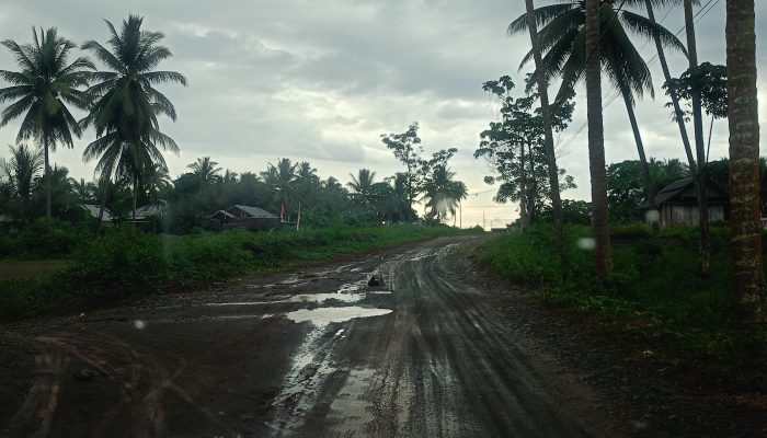 Kondisi Jalan Menuju Kantor Lurah Kalaka Kerap Jadi Kendala Pelayanan