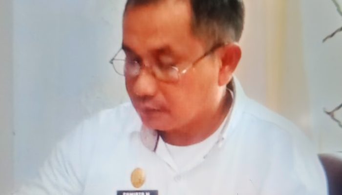 Karateker Kades Sumirto Sebut Sisi Positif dan Dampak Negatif Kerusakan Lingkungan Tambang Nikel Siuna