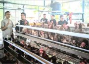 Peternak Unggas Asal Banggai Ikuti Bimtek dan Praktik di Jawa Barat