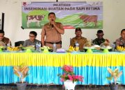Inseminasi Buatan Sapi Ternak Kolaborasi Pemda Banggai dan JOB Tomori Membantu Pelaku Usaha