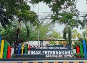 Disnakeswan Banggai Segera Distribusi Bantuan Peternakan Ayam KUB