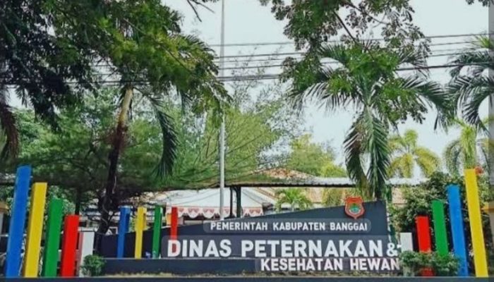 Disnakeswan Banggai Segera Distribusi Bantuan Peternakan Ayam KUB