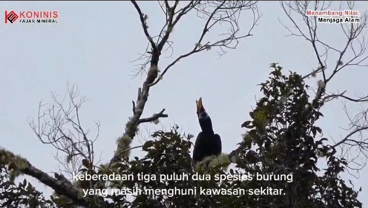 PT KFM