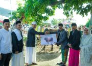 Sapi Qurban