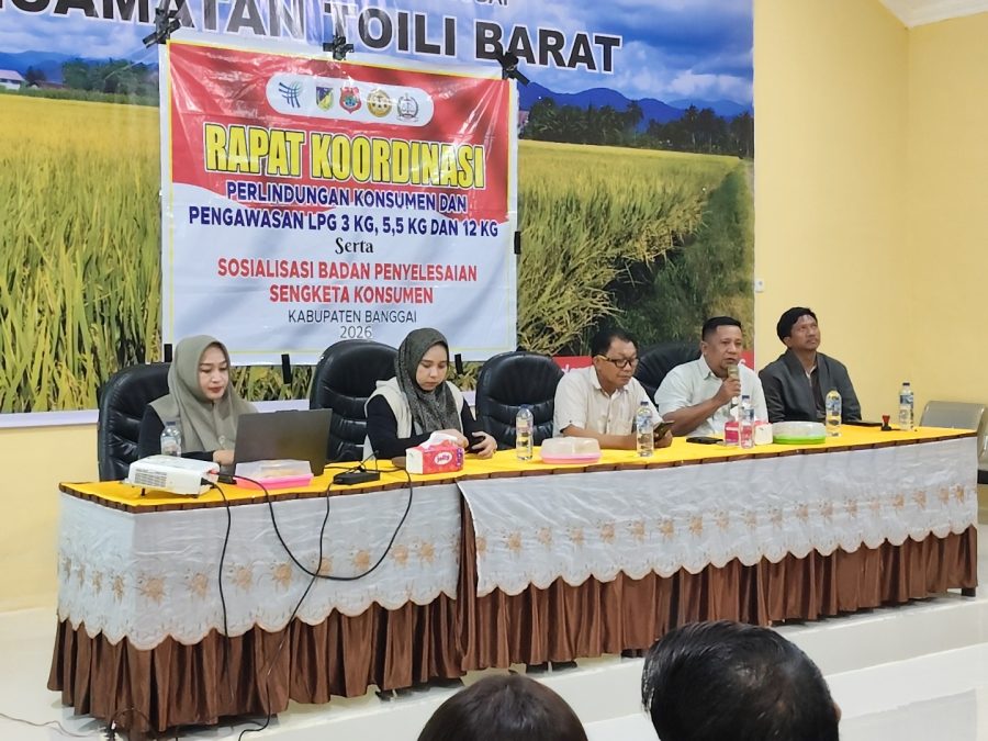 Sosialisasi