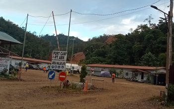 Tambang nikel