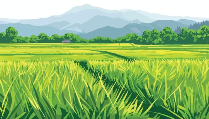 Puluhan Tahun Lahan Produktif Milik Warga Diduga Telah Diserobot Oknum Pengusaha Setempat