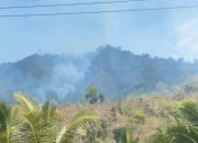 Kebakaran Hutan Melanda Pegunungan Wilayah Nuhon Banggai Sulteng