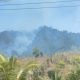 Kebakaran Hutan Melanda Pegunungan Wilayah Nuhon Banggai Sulteng