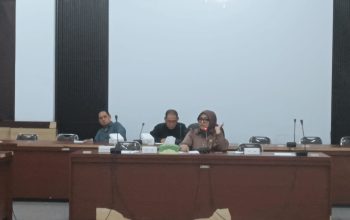 Lisa Sundari Ketua Komisi I DPRD Banggai Pimpin Raker Penanganan KDRT dan Kekerasan Pelecehan Seksual Perempuan dan Anak, Lahirkan 6 Poin Kesepakatan