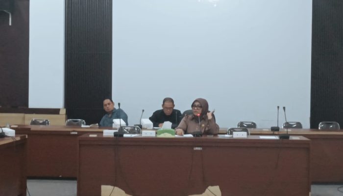 Lisa Sundari Ketua Komisi I DPRD Banggai Pimpin Raker Penanganan KDRT dan Kekerasan Pelecehan Seksual Perempuan dan Anak, Lahirkan 6 Poin Kesepakatan