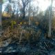 Kemarau dan Angin “Baleba” Picu Karhutla, Kades Huhak : 2 Hari 1 Malam Terbakar Hebat Api Baru Padam Senin Dini Hari 50 Hektar Ludes Terbakar