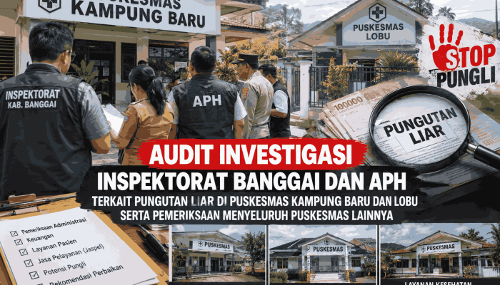 Bupati Perintah Periksa 27 Puskesmas, Inspektorat : Audit Kolaborasi APH Puskesmas Kampung Baru dan Lobu Pemeriksaan Mendalam Pungli