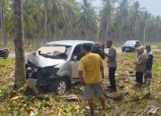 Mobil Avanza Hantam Pohon Kelapa 5 Korban, Kapolsek Nuhon Imbau Bahaya Microsleep