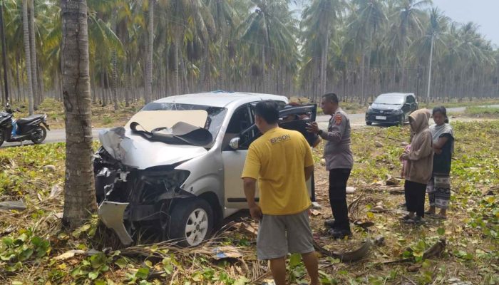 Mobil Avanza Hantam Pohon Kelapa 5 Korban, Kapolsek Nuhon Imbau Bahaya Microsleep