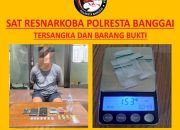 Satresnarkoba Polresta Banggai Tangkap Pemuda Pengedar Sabu di Luwuk